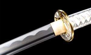 Katana Bushin (武心) – Spirito Marziale