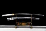 Katana Bushin (武心) – Spirito Marziale