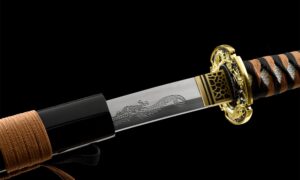 Katana Ryū No Yaiba (竜の刃) – La Lama Del Drago