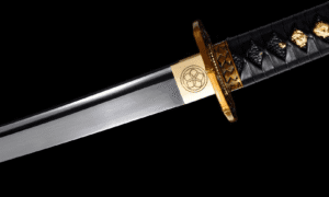Wakizashi Akikaze (赤風) – Vento Di Rame